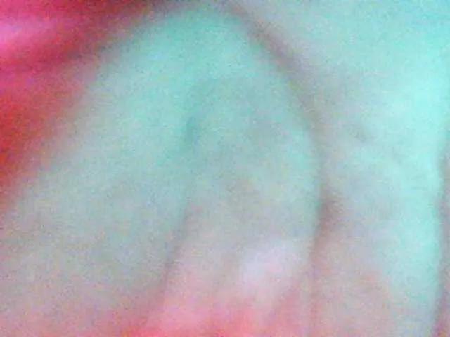 JoeYang from BongaCams