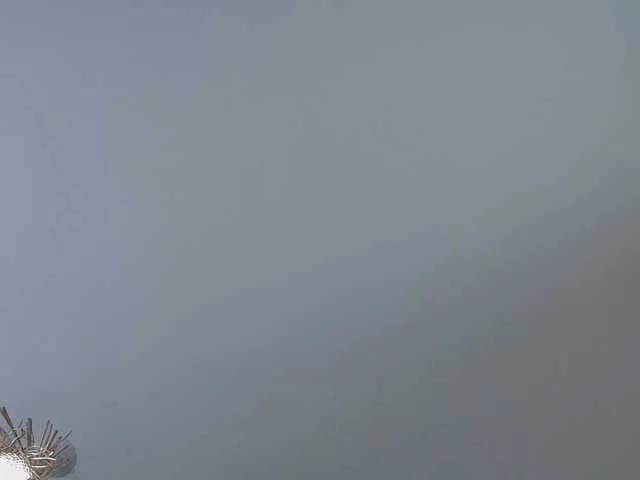 MisteryBlush from BongaCams