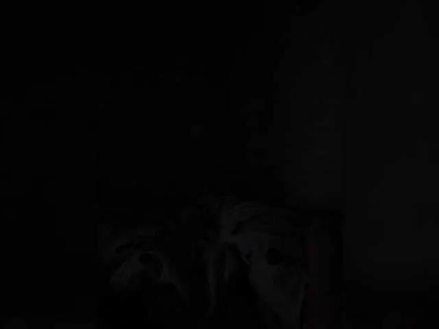 Nikita9334 from BongaCams