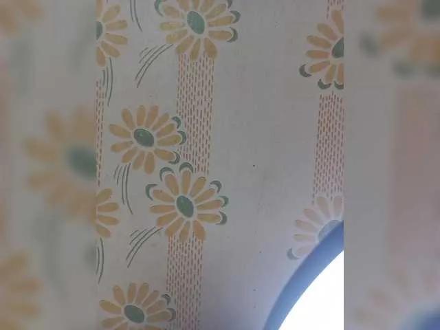 VselenaSun402 from BongaCams