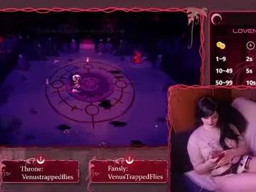 venustrappedflies from Chaturbate